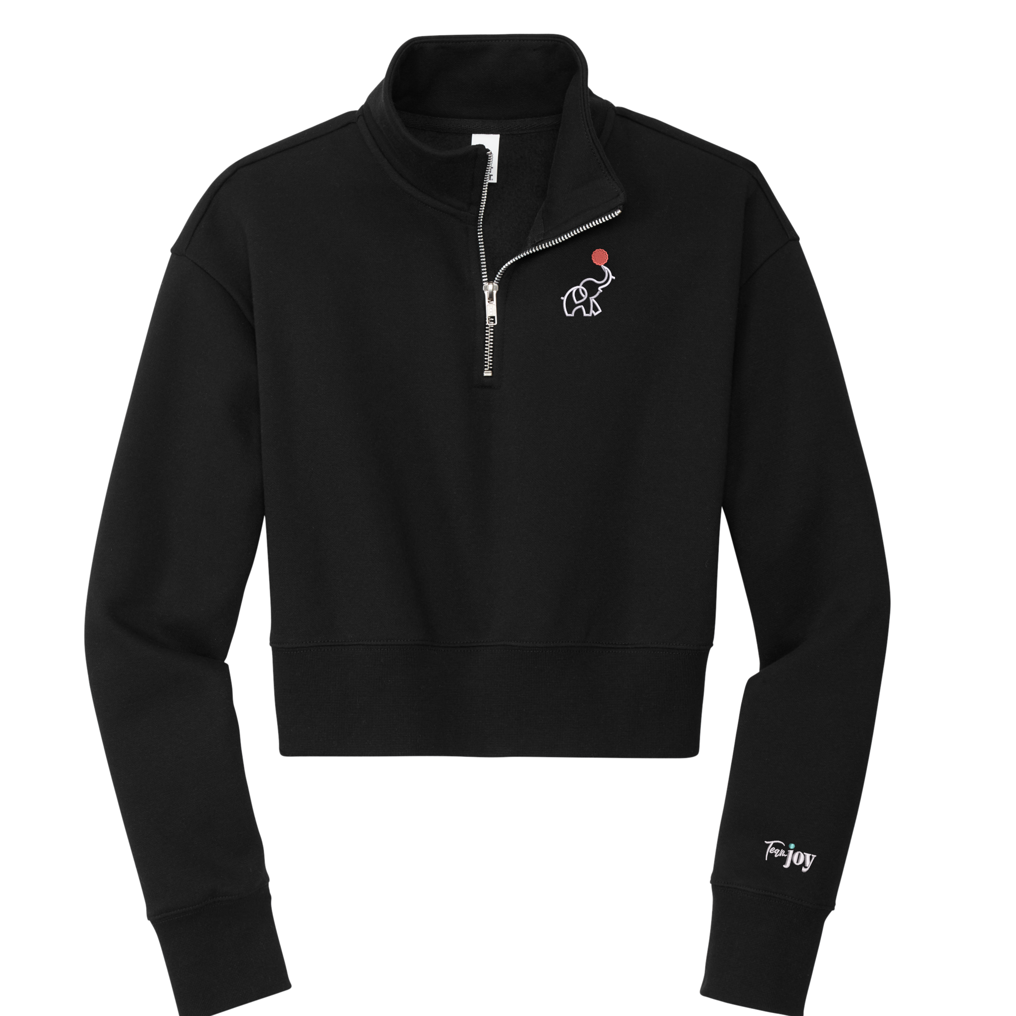 Team Joy - 1/4 Zp Crop (RUNS 2 SIZES SMALL)